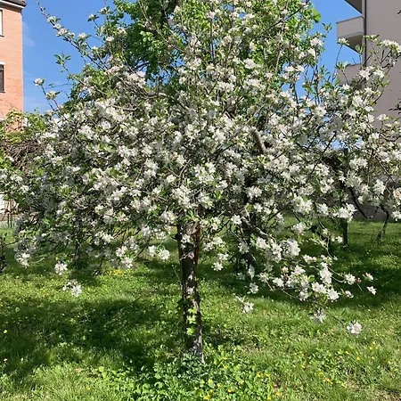 Paradisa28 - Amalfi - Zona Ospedale Cisanello