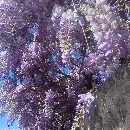 Paradisa28 - Amalfi - Zona Ospedale Cisanello Appartamento